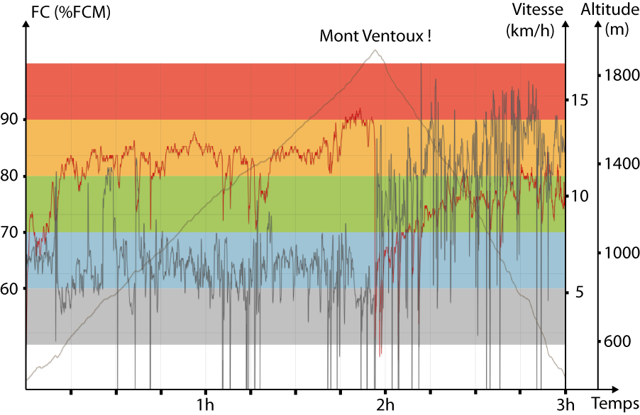 Le détail de la fréquence cardiaque, la vitesse et l'altitude pendant la sortie.