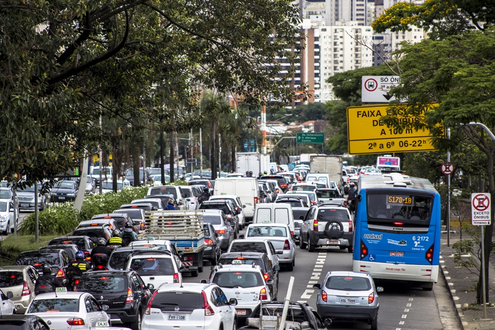 Inutile de dire qu'il vaut mieux éviter les grands axes de circulation, et courir le plus loin possible du trafic (crédit photo : AFNR, shutterstock.com)