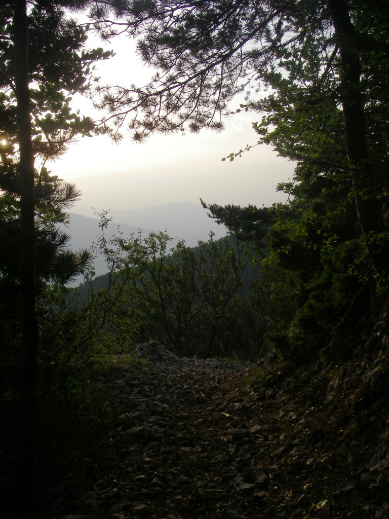 Un sentier comme on les aime, avec la lumière du matin, photo prise en me retournant car c'était pendant la montée !