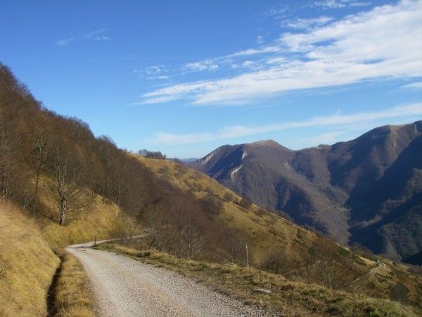 Portion de piste à la descente. Là, on peut vraiment lâcher les jambes !