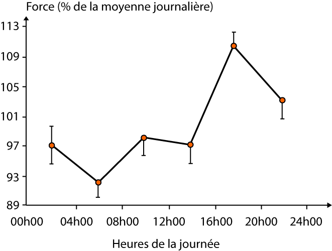 Variation de la force isométrique du muscle extenseur du genou au cours de la journée (d'après Aktinson and Reilly 1996).