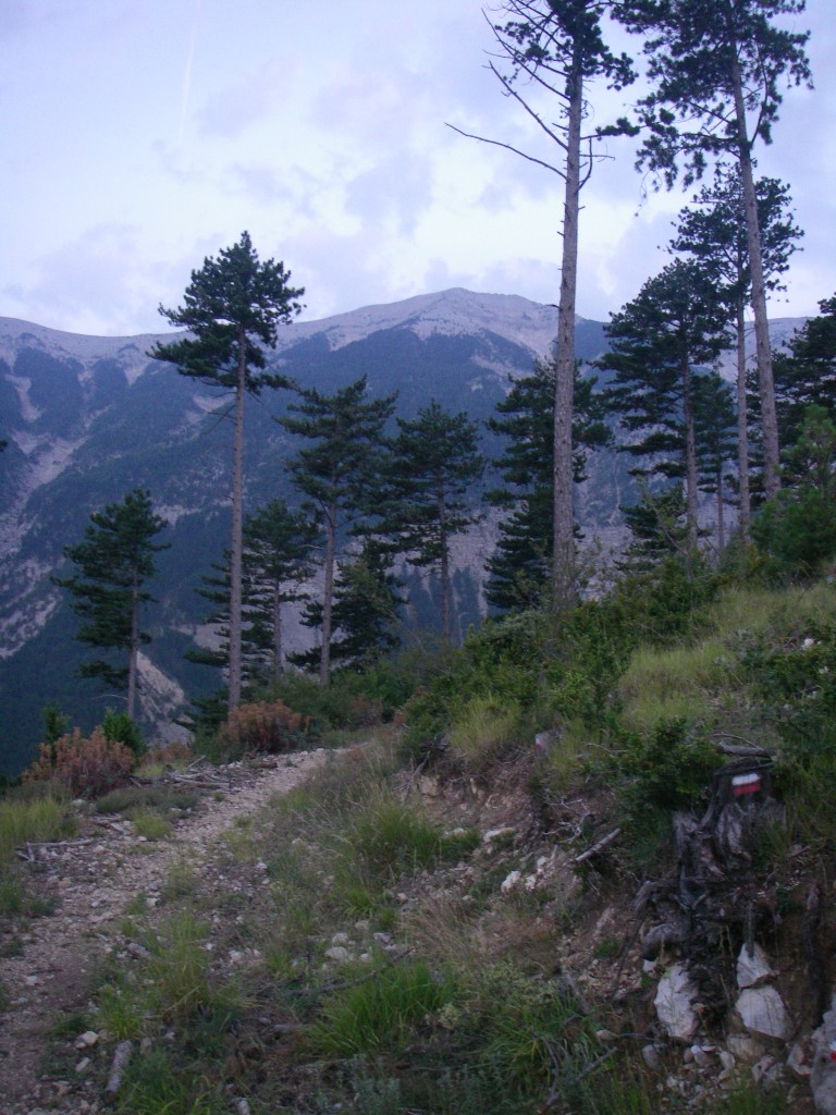 Première vue sur le sommet après une demi-heure environ de montée.